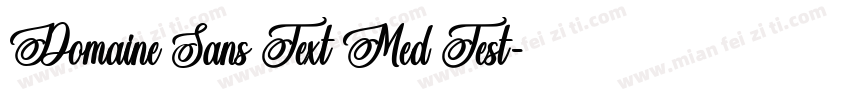 Domaine Sans Text Med Test字体转换